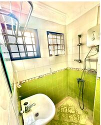 Joo Chiat Terrace (D15), Detached #551454801
